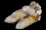 Cactus Quartz (Amethyst) Cluster - South Africa #115119-1